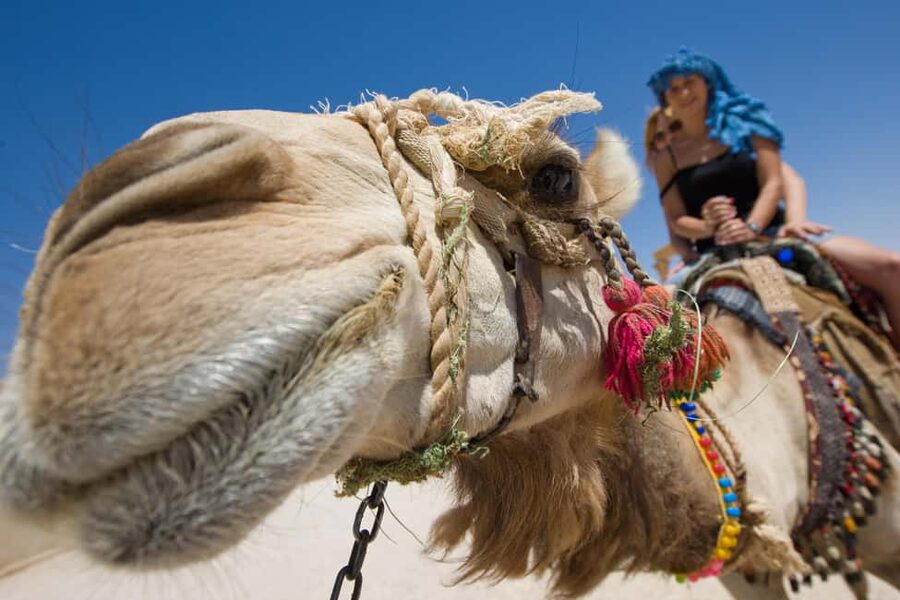 Sharm El-Sheikh: Morning Desert ATV Quad or Buggy Adventure - ATV or buggy riding across the desert