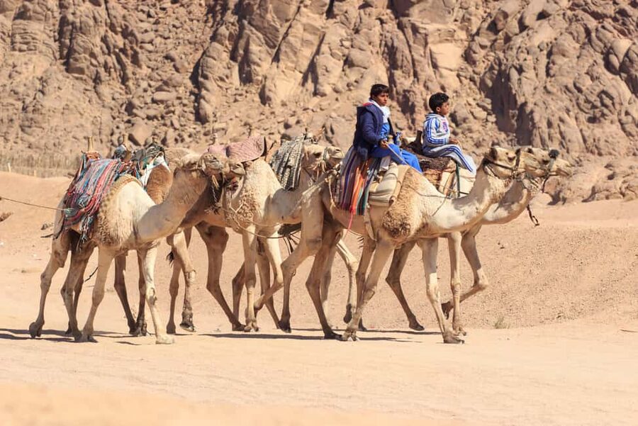 Sharm El-Sheikh: Morning Desert ATV Quad or Buggy Adventure - Sandboarding on the golden dunes