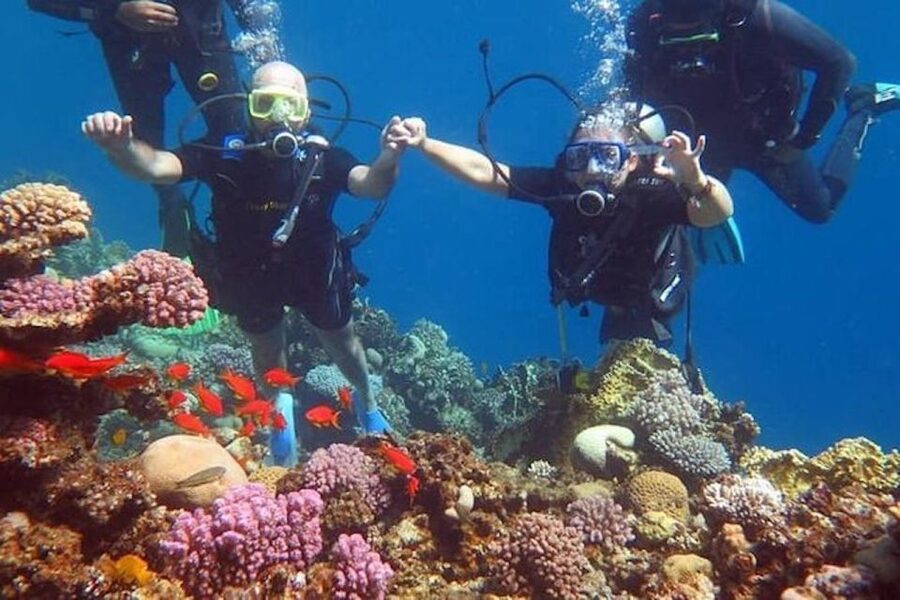 Sharm El-Sheikh: Parasailing, Camel Ride, Dive & Quad Bike - Why this $41 Sharm El-Sheikh trip packs in so much