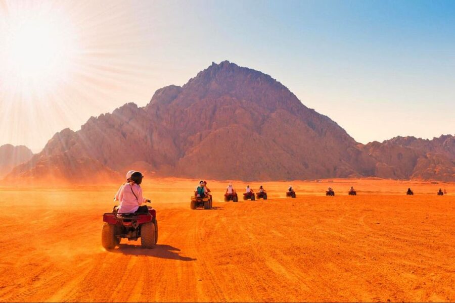 Sharm El-Sheikh: Parasailing, Camel Ride, Dive & Quad Bike - A short camel ride with a desert setting
