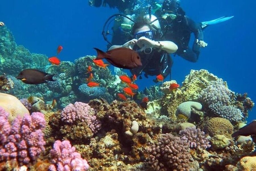 Sharm El-Sheikh: Parasailing, Camel Ride, Dive & Quad Bike - Introductory scuba in the Red Sea