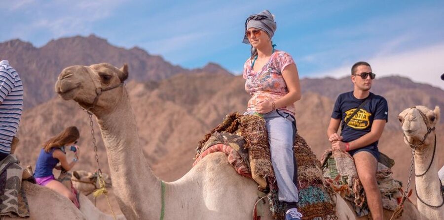 Sharm El Sheikh: Quad bike, Safari, Camel With Dinner & Show - Dinner, chai, and the evening show
