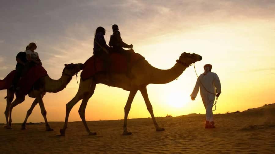 Sharm El Sheikh: Quad Biking, Camel Ride & Bedouin Dinner. - What the quad ride is really like