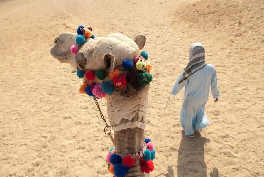 Sharm El-Sheikh: Ultimate ATV Quad, Stargazing & BBQ Dinner - The dark-sky finish with an astronomer