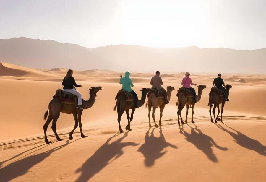 Sharm El-Sheikh: Ultimate ATV Quad, Stargazing & BBQ Dinner - Who will enjoy this desert day most
