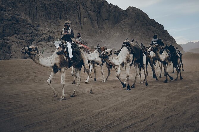 Sharm: Quad Bike or Car Buggy, Camel ride & optional VIP Bedouin Dinner & Show - Quad bikes, buggies, and the actual riding time