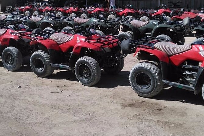 Sharm: Quad Bike or Car Buggy, Camel ride & optional VIP Bedouin Dinner & Show - The Bedouin tent and the camel ride