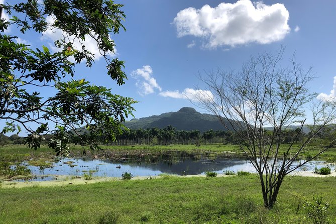 Shore Excursion: V.I.P. DayPass: ATV, Zip Lines, Horseback Riding & Lunch - Who will enjoy this day most