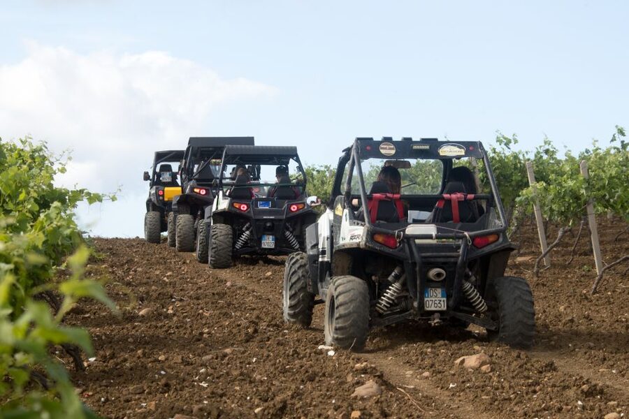 Sicily: Off-Road ATV Buggy Tour - Stories about plants, animals, and Sicilian traditions