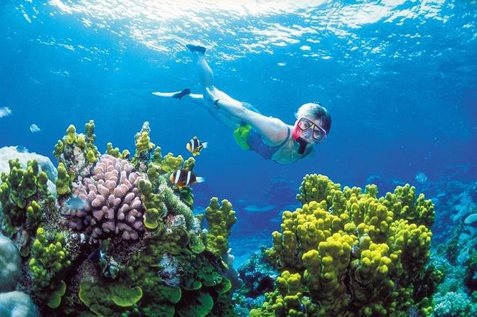 Snorkel, ATV, Zipline and Cenote Adventure from Cancun - Two adventures stitched into one long day