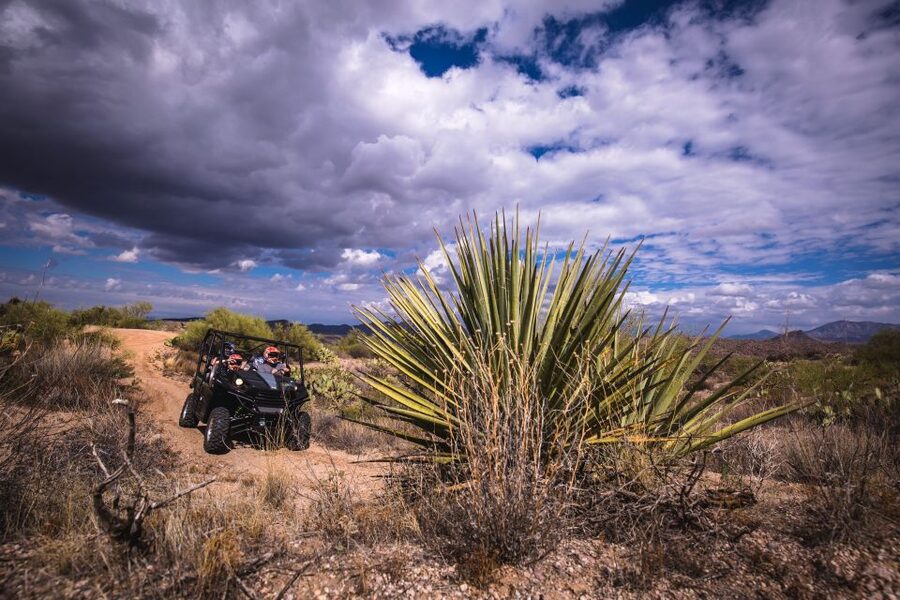 Sonoran Desert: Guided 2-Hour UTV Adventure - Desert plants, animals, and Four Peaks views