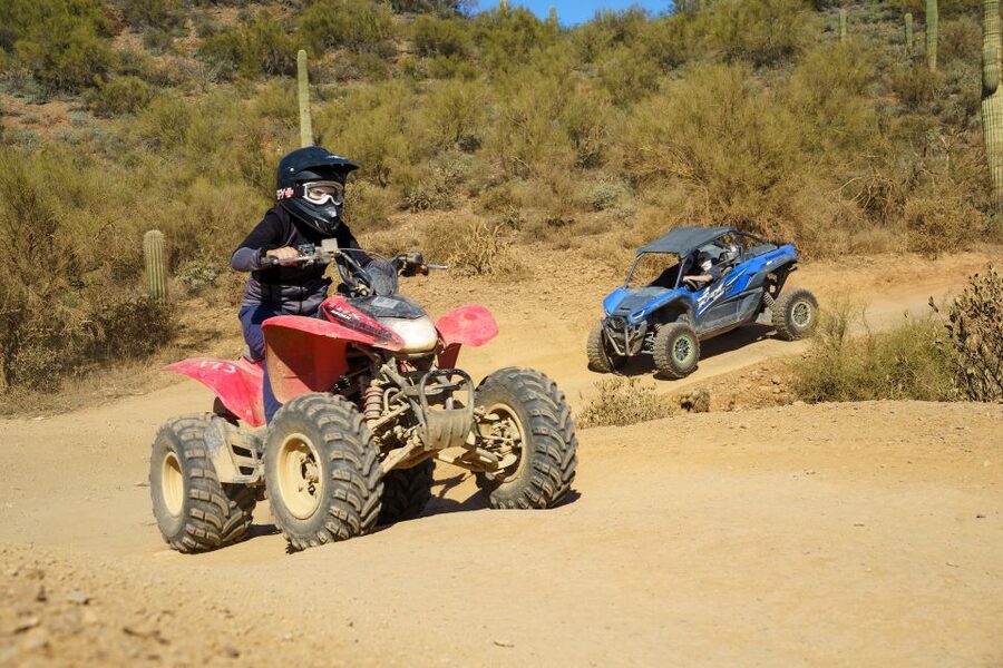 Sonoran Desert: Guided UTV or ATV Desert Tour - Choosing between a UTV and ATV