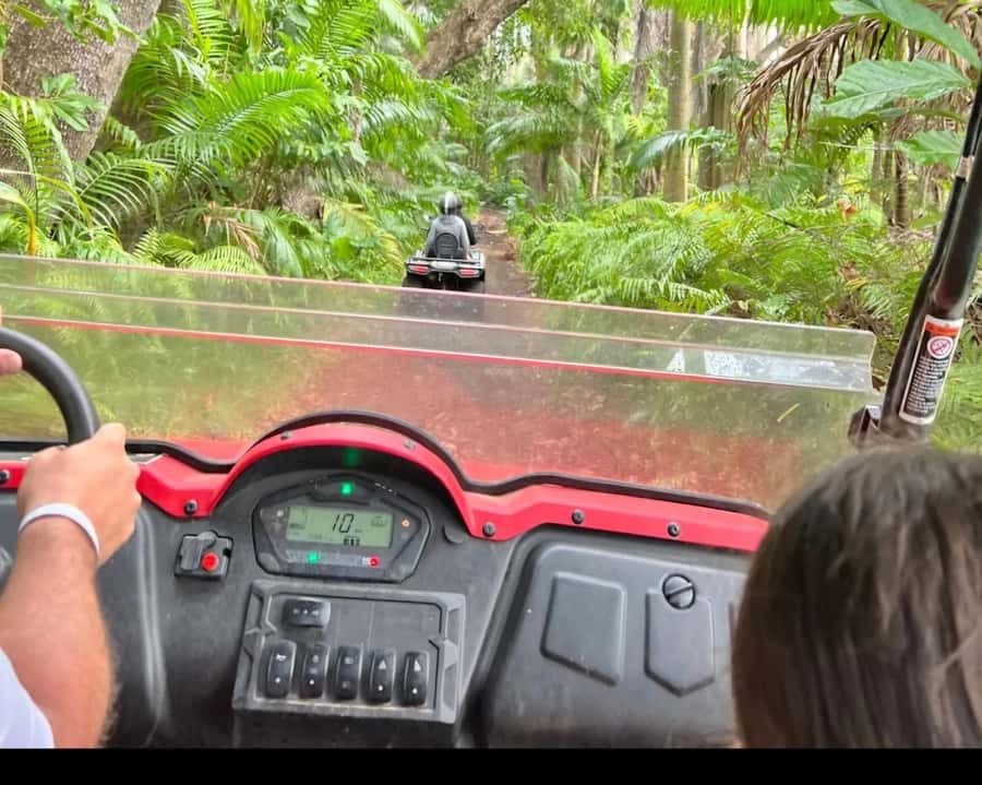 South Mauritius : Buggy Tour - Is $293 good value for up to four people?