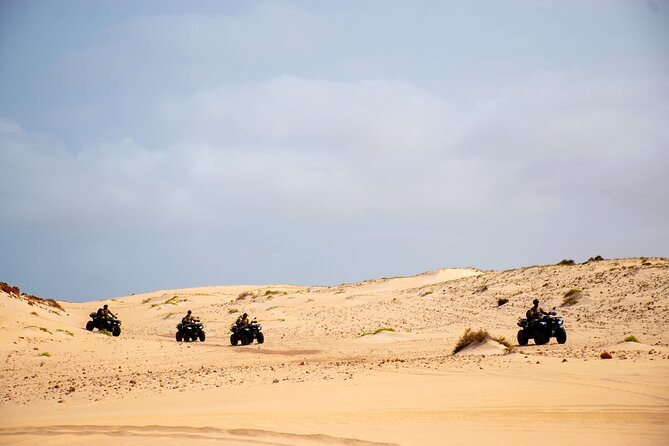 South of Boa Vista Adventure Explore the Desert by Quad - Safety and equipment are serious strengths