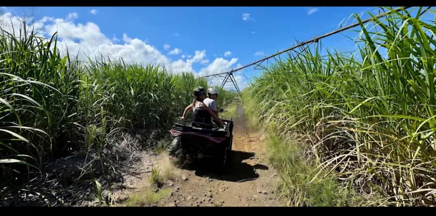 South of Mauritius: Quad Bike Tour - La Cambuse brings the beach break