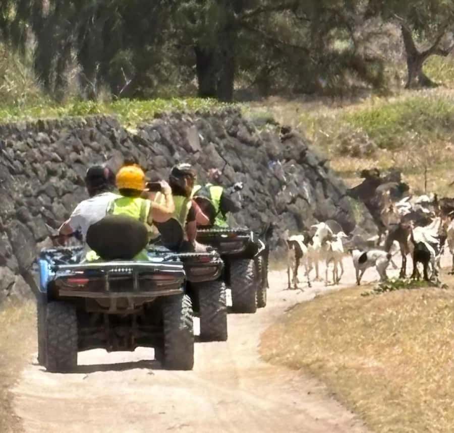 South of Mauritius: Quad Bike Tour - What $129 buys you, and where the value sits