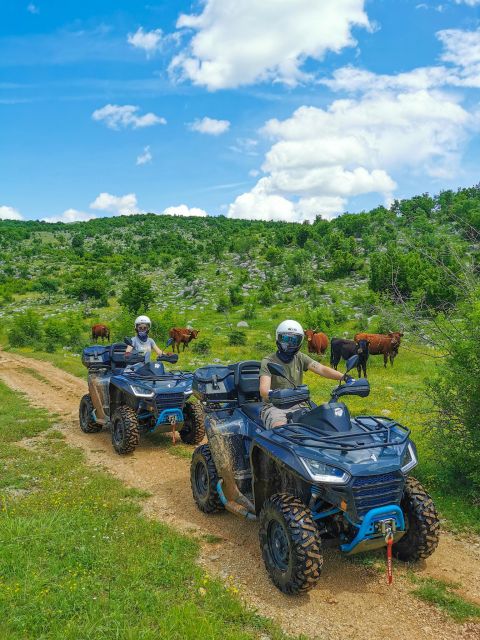 Split: Dalmatian Quad Tour with River Swimming & Picnic - Getting from Split to the Asteria Adventures base
