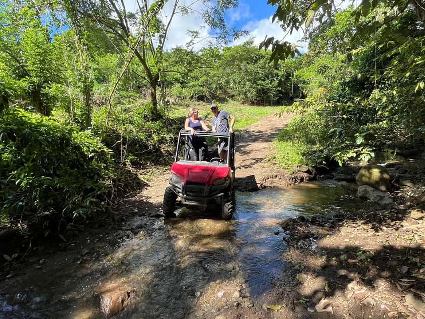 St. Kitts:Countryside Dune Buggy Tour - How the $100 price measures up