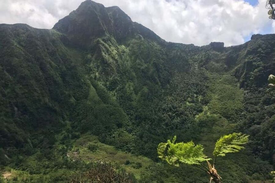 St Kitts: Jungle Bikes Off-Road ATV Tour - Following sugar cane paths and plantation tracks
