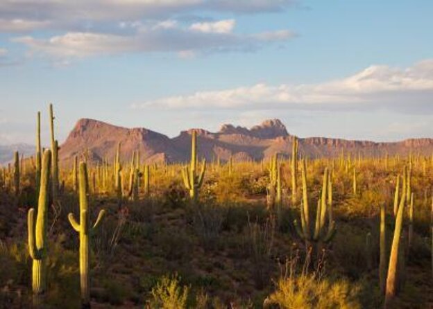 Sunset ATV/UTV 2 Person Sand Buggy Off-Road Tour Scottsdale - Key points to know before you book