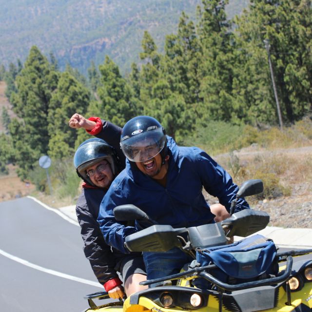 Teide National Park Day or Sunset Tour on Quads - Pine forests on the road to Vilaflor