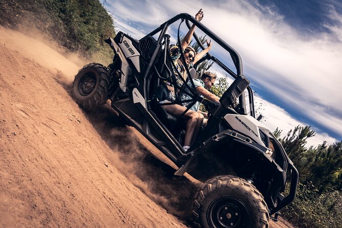 Tenerife: Guided Buggy Discovery Tour around Mount Teide - Key points to know before you book