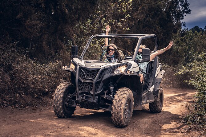 Tenerife: Guided Buggy Discovery Tour around Mount Teide - The camel center is a pause, not the main event