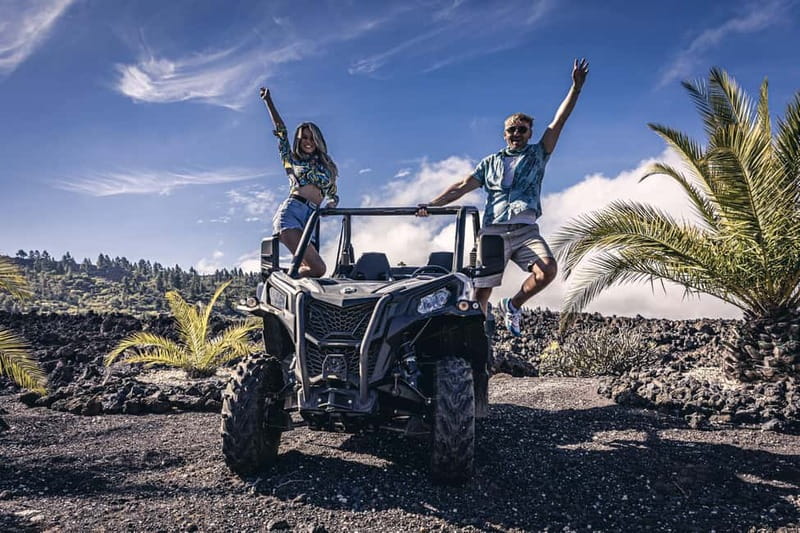Tenerife: Guided Buggy Discovery Tour around Mount Teide - Tamaimo finishes the drive with local flavors