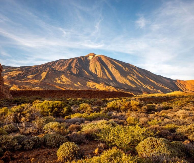 Tenerife: Guided Group Quad Tour on Mount Teide - Cancellation and languages
