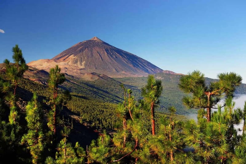 Tenerife: Jet Ski Tour with Optional Quad Trip - Snorkeling and the practical reality of open water