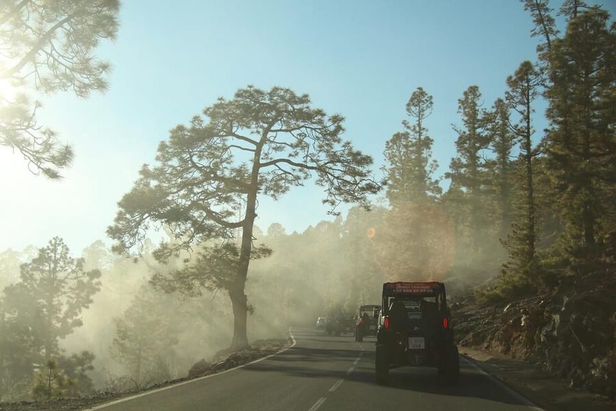 Tenerife: Morning or Sunset Teide Buggy Tour - What to pack and what to expect afterward