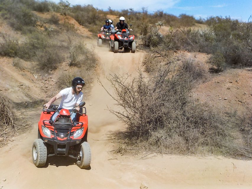 Tenerife: Quad Adventure Tour in Teide National Park - Should you book the Teide quad adventure?