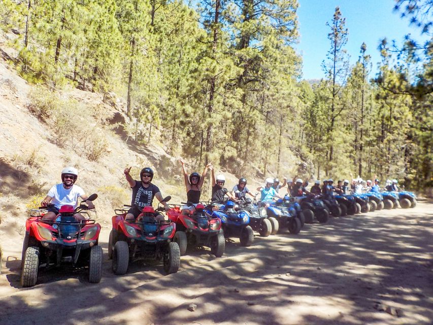 Tenerife: Quad Adventure Tour in Teide National Park - Stops, breaks, and photo chances