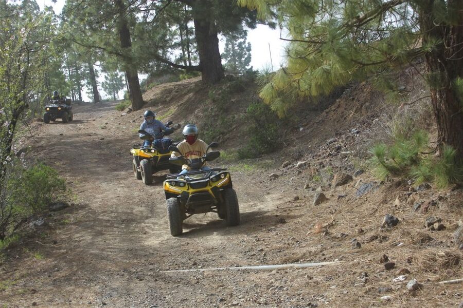 Tenerife: Quad Bike Off-Road Adventure - The coastal option and changing scenery