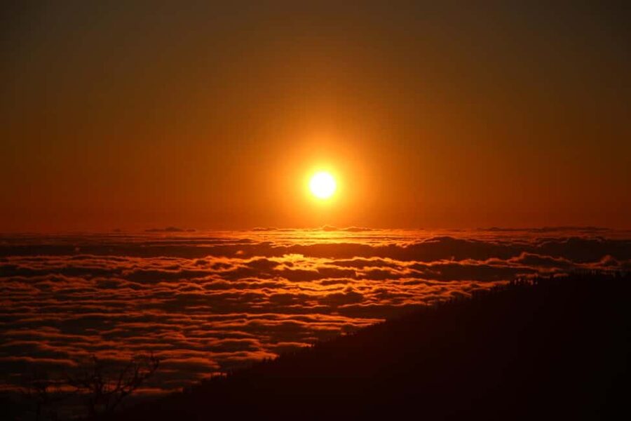 Tenerife: Sunset - 3H Buggy tour of Teide - Entering Teide National Park at 2,100 meters