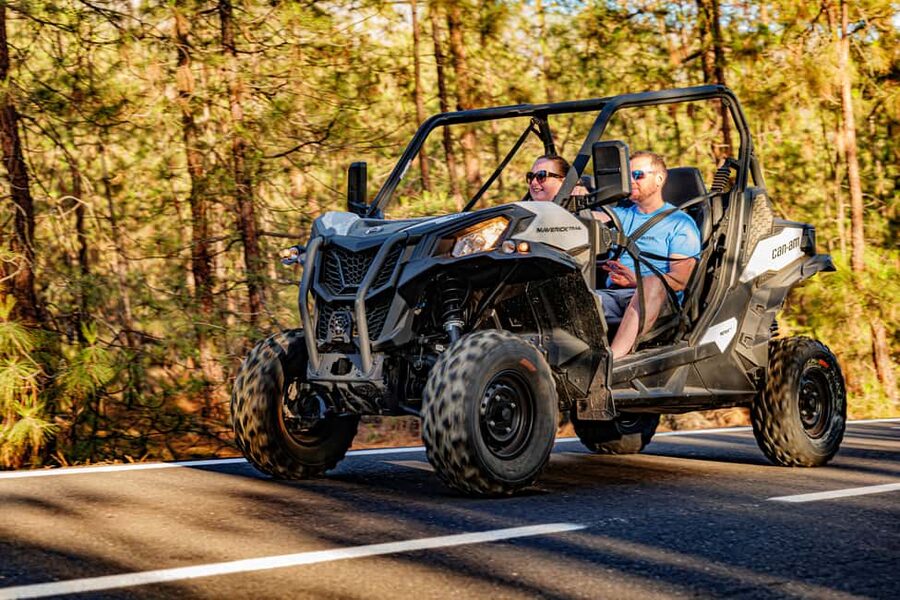 Tenerife: Teide Mountain Buggy On-Road GuidedTour with drink - Pine forests, volcanic rock, and open views
