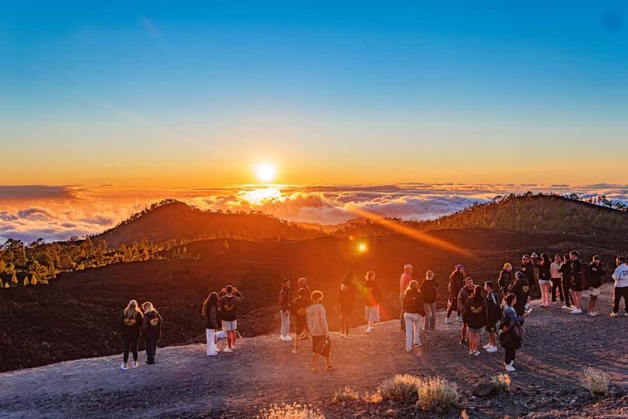 Tenerife: Teide Mountain On-Road Guided Quad Tour with drink - Quick take on the Teide quad tour