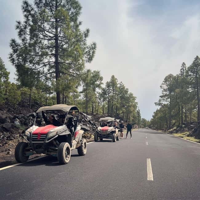 Tenerife: Teide National Park and Volcano Buggy Tour - Key details before you book