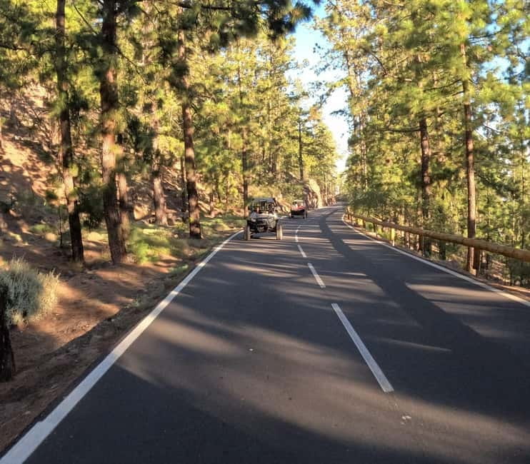 Tenerife: Teide National Park and Volcano Buggy Tour - What the buggy ride is really like