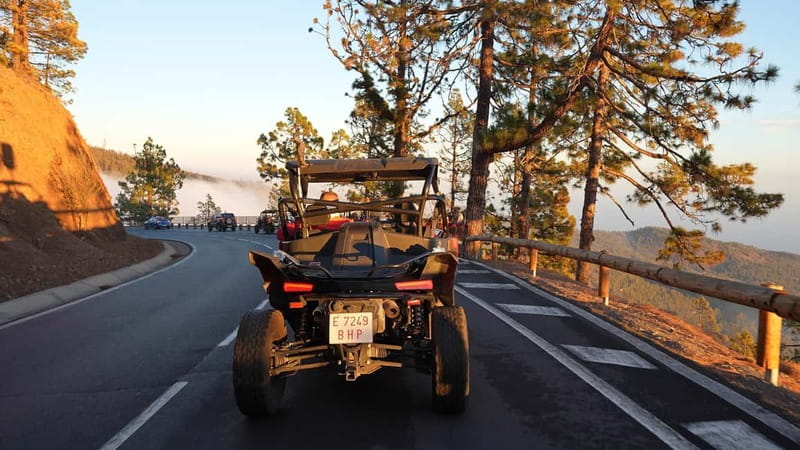Tenerife: Teide National Park Guided Buggy Tour - Who will enjoy this buggy tour most?