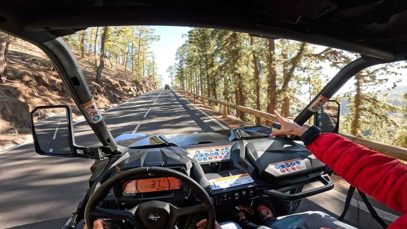 Tenerife: Teide National Park Guided Buggy Tour - Getting behind the wheel of the buggy