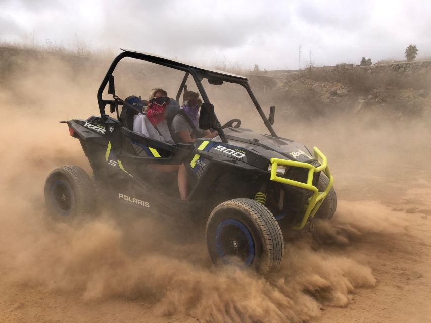 Tenerife: Volcano Teide Buggy Tour with Wine Tasting & Tapas - From the coast to Vilaflor in a small group