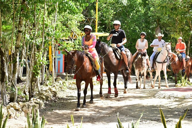 Tequila Tasting, Horseback Riding,ATV, Ziplines Cenote and Lunch - The cenote: the day’s strongest change of mood