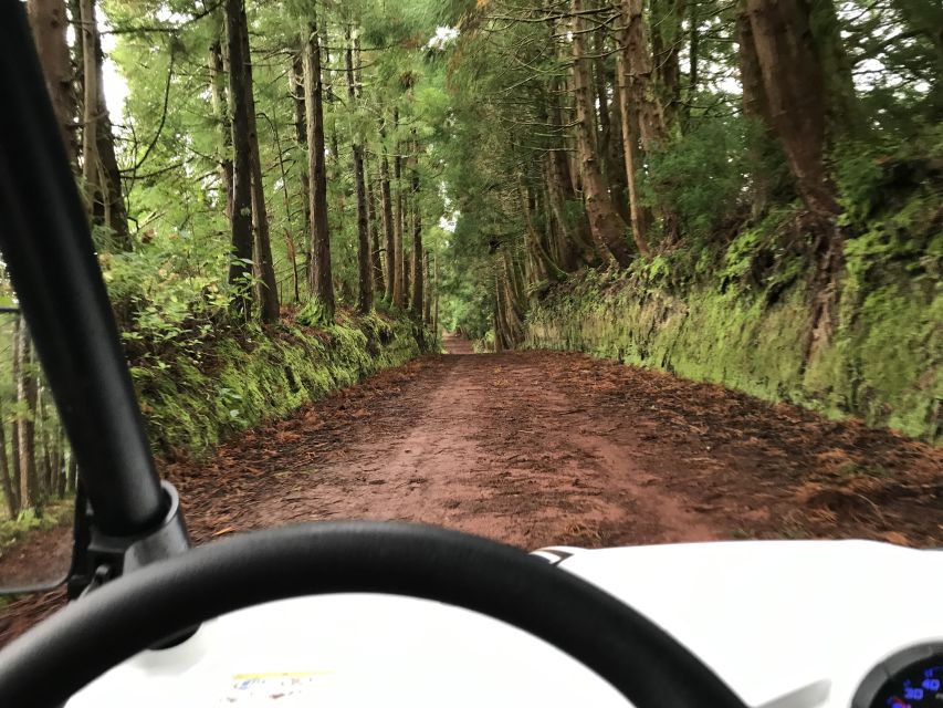 Terceira: Buggy Tour 4x4 West Side Azores Retreat - FAQ