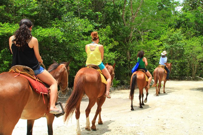 The best ATVs, zipline, cenote tour with lunch and transportation - Ziplines and horseback trails add variety