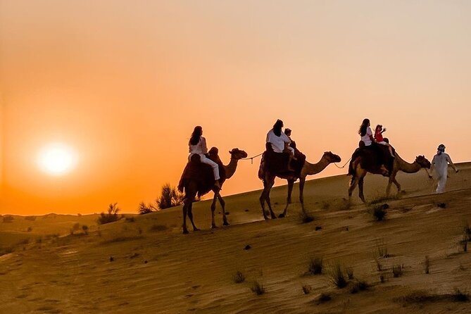 Thrilling 4-Hour Dune Bashing & Camel Ride Safari to Inland Sea - Why this four-hour desert trip works