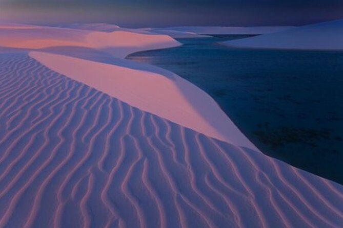 Thrilling 4-Hour Dune Bashing & Camel Ride Safari to Inland Sea - What $44.59 gets you