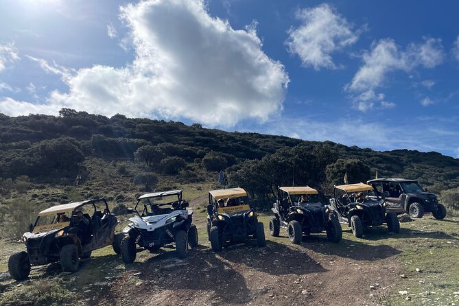 TopBuggy Buggy Safari Ronda Gorge Trip - The old wall and Puerta de Almocabar