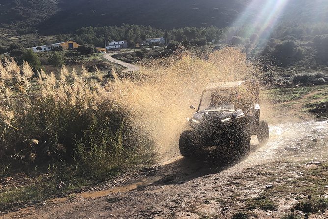 TopBuggy Buggy Safari Ronda Gorge Trip - A second pause at La Cuadra