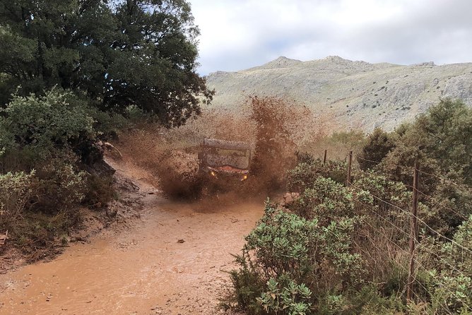 TopBuggy Buggy Safari Ronda Gorge Trip - Vineyards around Descalzos Viejos